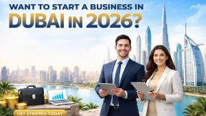 business setup