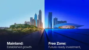 free zone Vs Main land