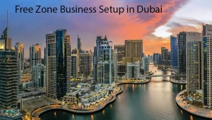 Starting a Free Zone Business Set up in Dubai and the UAE,
